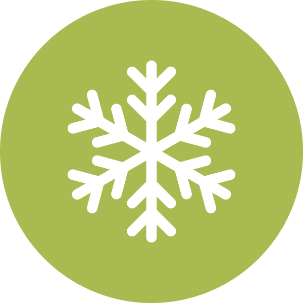 snowflake green icon