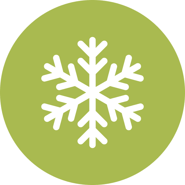 snowflake green icon