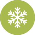 snowflake green icon