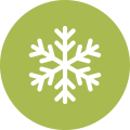 snowflake green icon